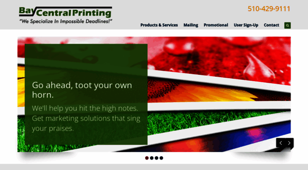 baycentralprinting.com