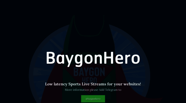 baygonhero.com