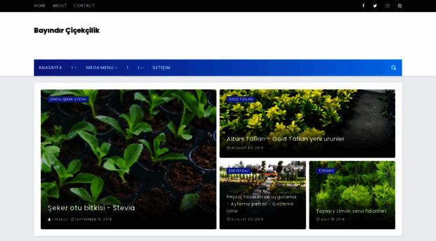 bayindircicekyetistiriciligi.blogspot.com