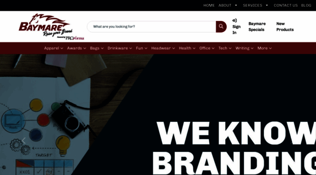 baymaregroup.com