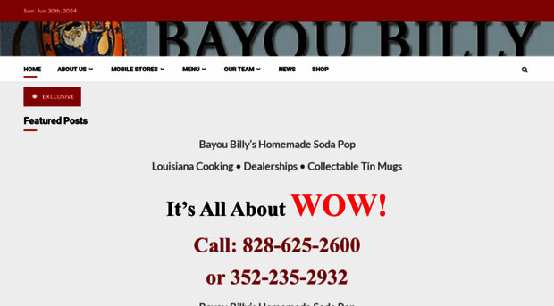 bayoubilly.com