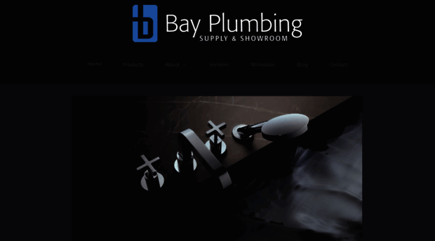 bayplumbingsupply.com