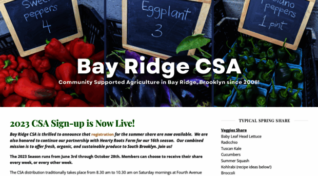 bayridgecsa.org