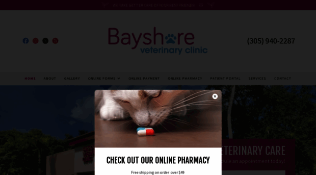 bayshorevetclinic.com