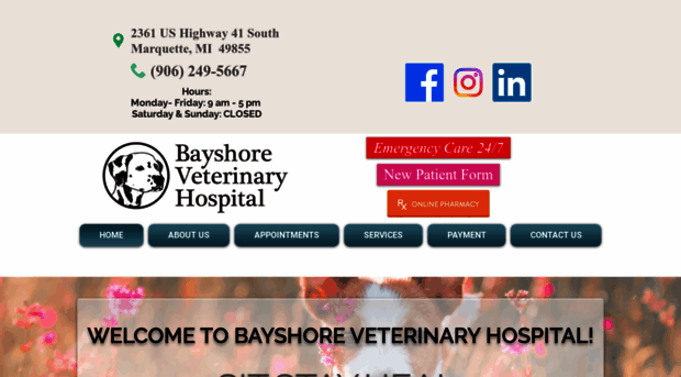 bayshorevethospital.com