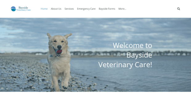 baysidevetcare.com