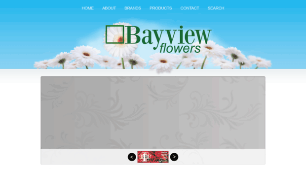 bayviewflowers.com