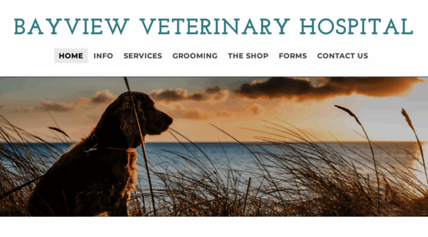 bayviewveterinary.net