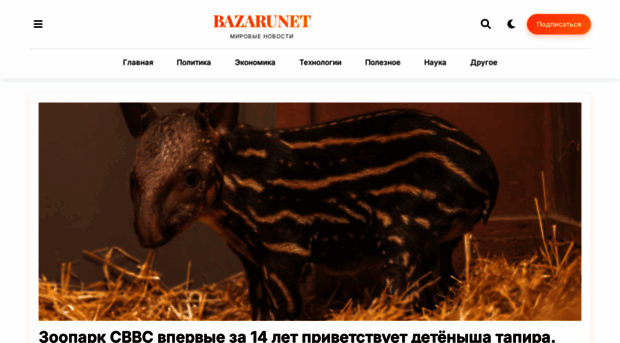 baza.ru.net