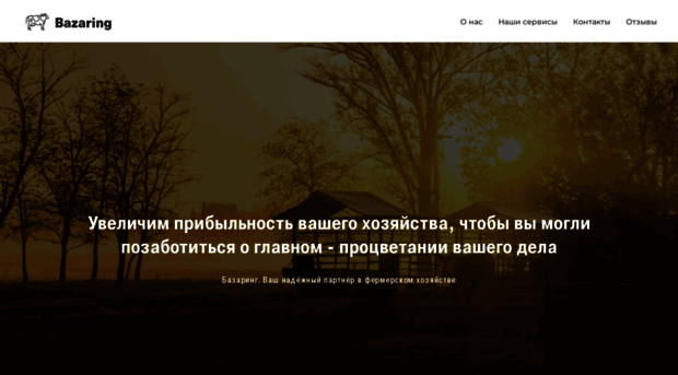 bazaring.ru