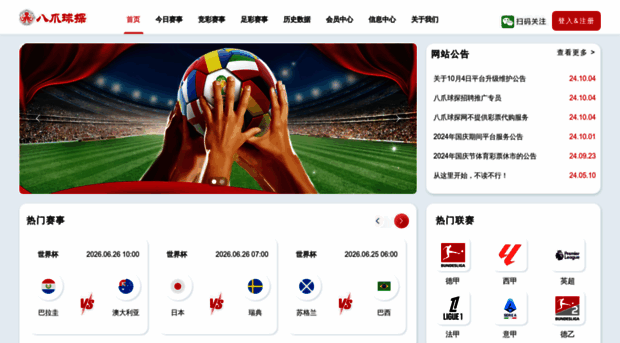 bazhua007.com