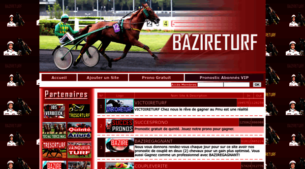 bazireturf.com