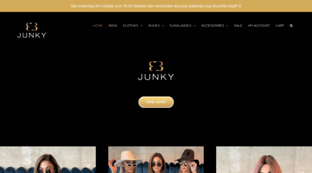 bbjunky.com