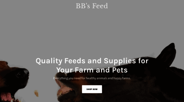 bbsfeed.com