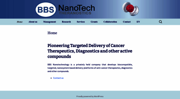 bbsnanotech.com