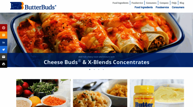 bbuds.com