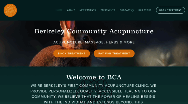 bcaclinic.com