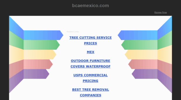 bcaemexico.com