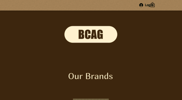 bcaginc.com