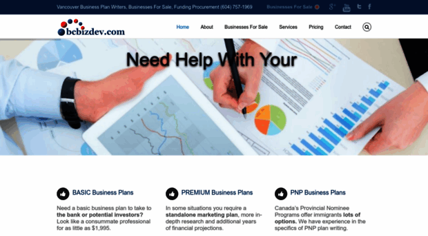 bcbizdev.com