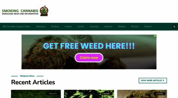 bcbudbaby.com