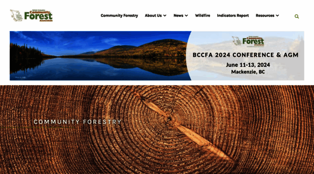 bccfa.ca