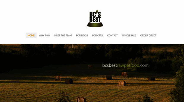 bcsbestrawpetfood.com