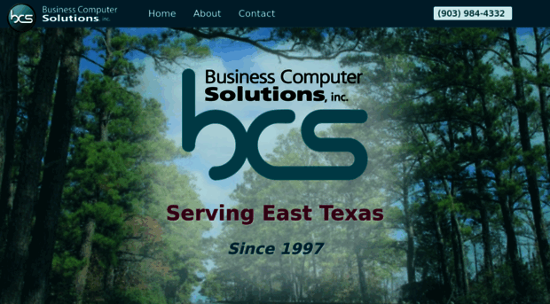 bcsgroup.net