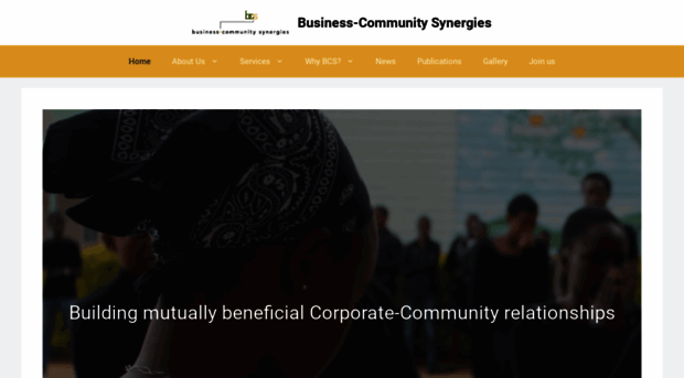 bcsynergies.com