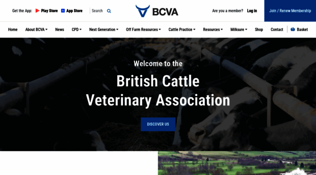 bcva.org.uk