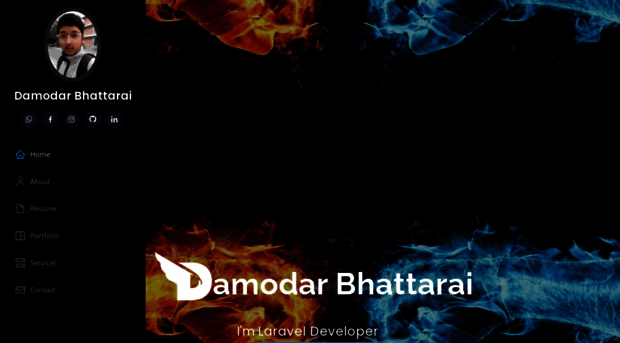 bdamodar.com.np