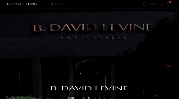 bdavidlevine.com