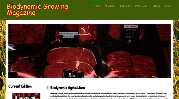 bdgrowing.com