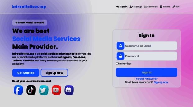 bdrealfollow.top