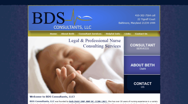 bdsconsultants.com