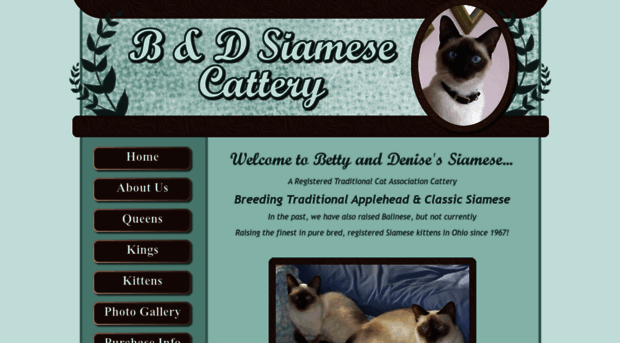 bdsiamese.com