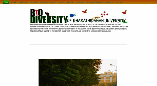 bdu-biodiversity.blogspot.com