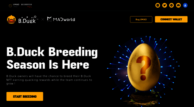 bduck.madworld.io