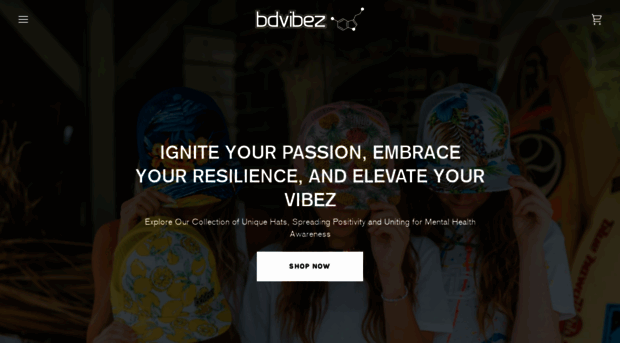 bdvibez.com