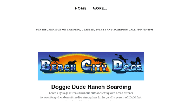 beachcitydogs.com