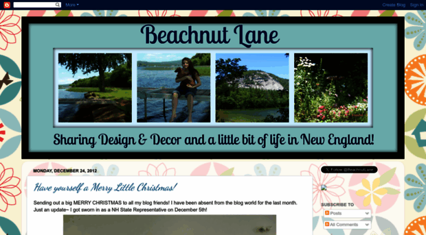 beachnutlane.blogspot.com