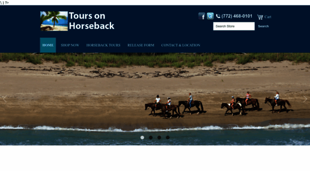 beachtoursonhorseback.com