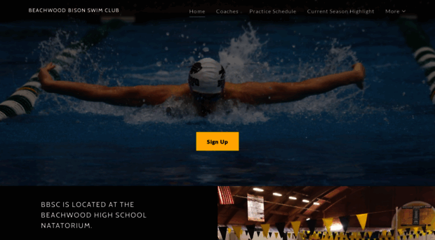 beachwoodbisonswimclub.com