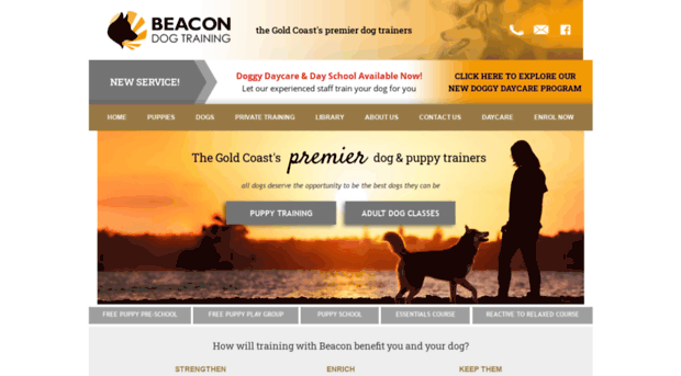 beacondogtraining.com.au