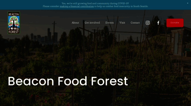 beaconfoodforest.weebly.com