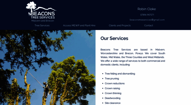 beaconstreeservices.com