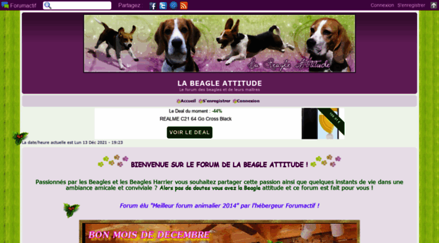 beagle-attitude.com