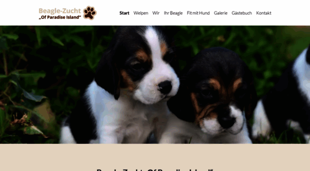 beagle-welpen-bayern.de