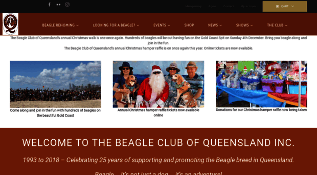 beagleclubqld.org