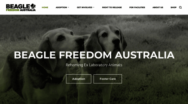 beaglefreedomaustralia.org